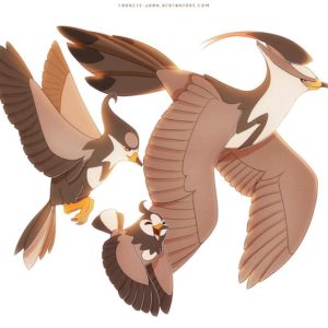 download Staravia Starly and Staraptor by francis-john on DeviantArt