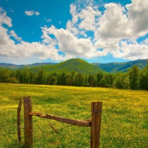 download Nature HD Image Wallpaper field grass fence sky summer 84356 …