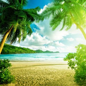 download beautiful summer wallpaper Group with 75 items