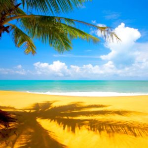 download Summer Season Widescreen wallpaper | beach | Wallpaper Better
