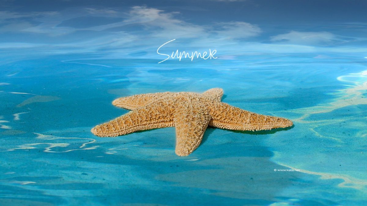 summer-season-hd-wallpapers-free-for-desktop-downloaded- HD Wallpaper