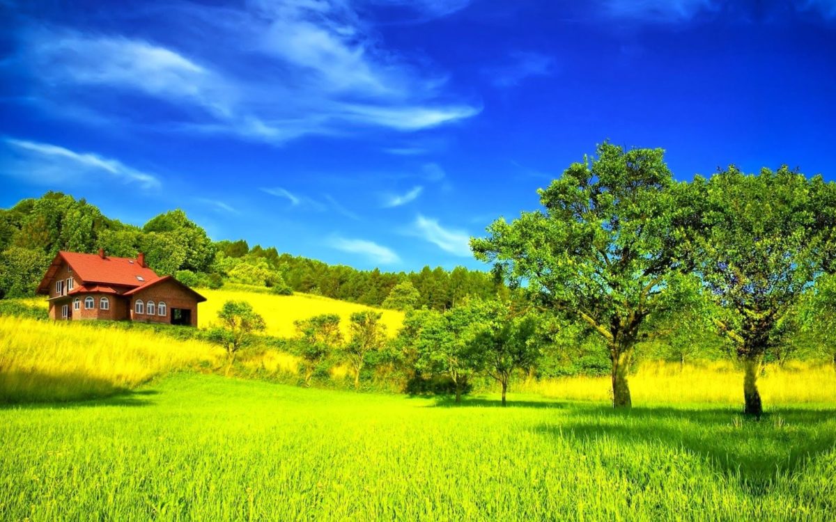 Desktop Beautiful Summer Season Hd With Nature Most Green Mountains …