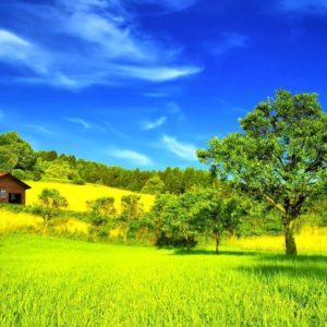 download Desktop Beautiful Summer Season Hd With Nature Most Green Mountains …
