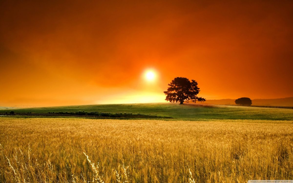 Summer Sunset Wallpapers Hd Background 8 HD Wallpapers | Hdimges.