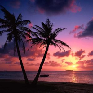 download Pink Beach Sunset Wallpaper Hd Background 9 HD Wallpapers