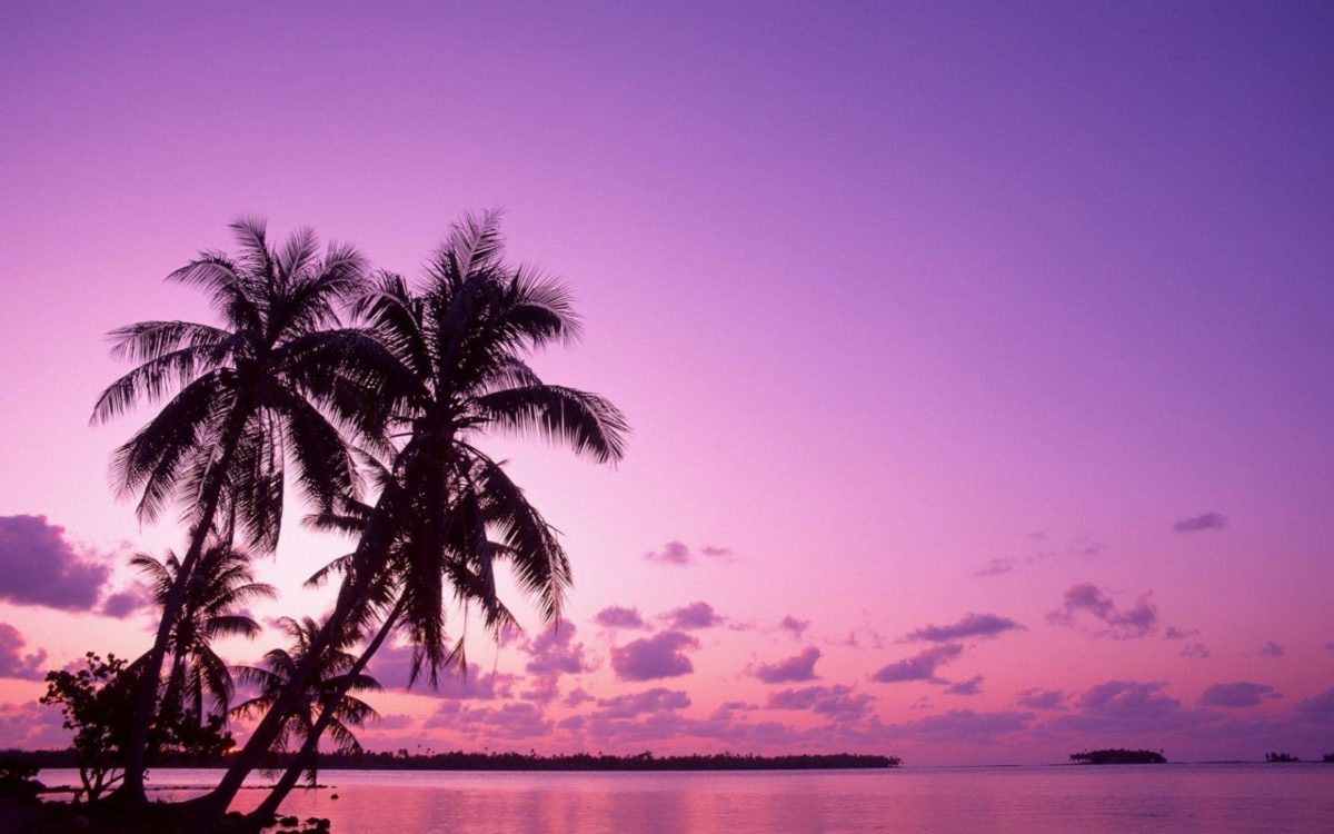 Pink Sunset Backgrounds, wallpaper, Pink Sunset Backgrounds hd …