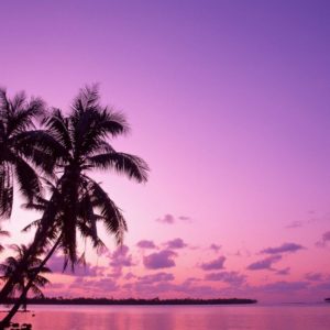 download Pink Sunset Backgrounds, wallpaper, Pink Sunset Backgrounds hd …