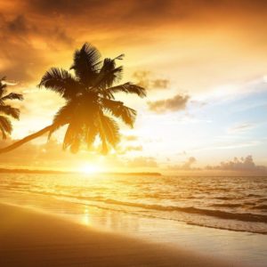 download Beach Sunset Background Wallpaper 301 Full HD Wallpaper Desktop …