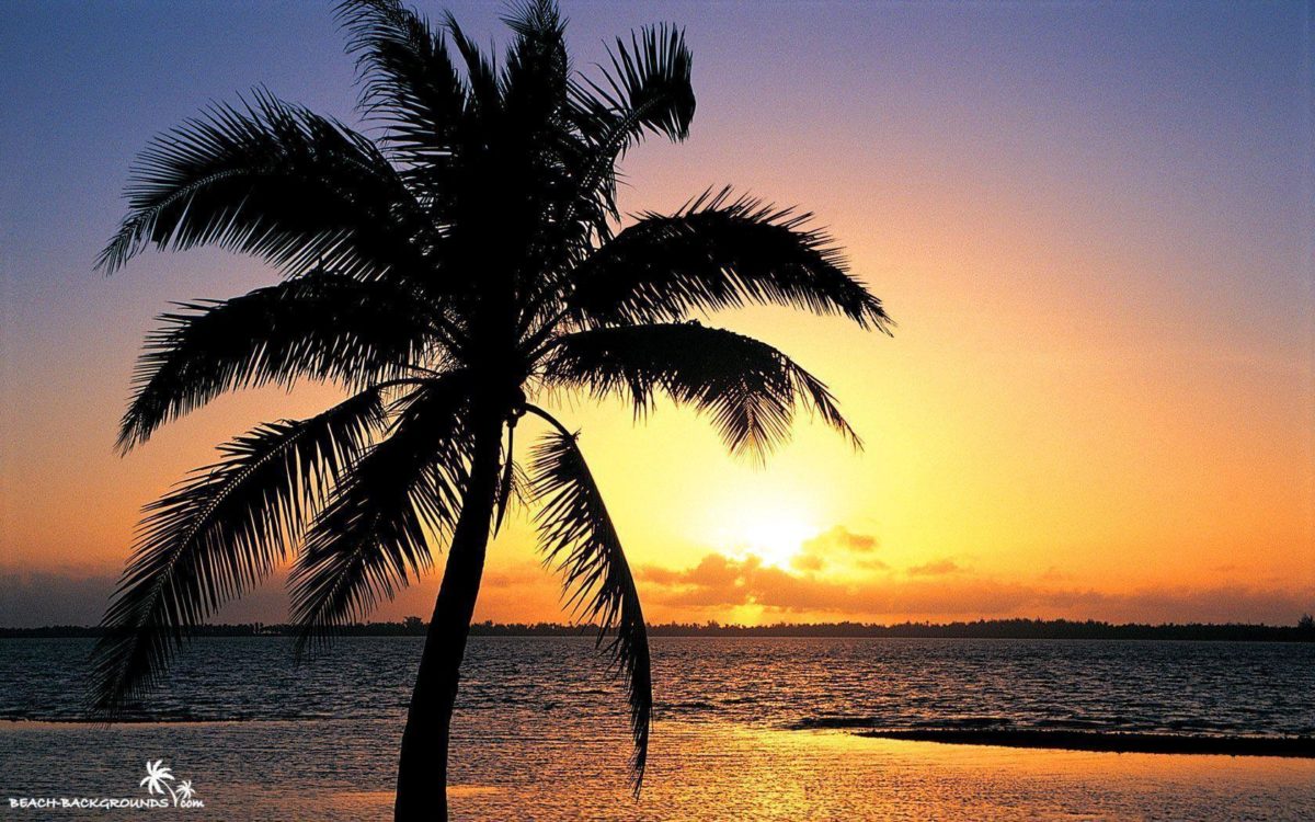 Beach Sunset Backgrounds 33170 Hd Wallpapers in Beach n Tropical …