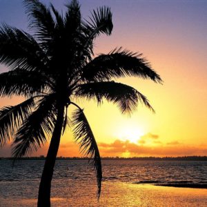 download Beach Sunset Backgrounds 33170 Hd Wallpapers in Beach n Tropical …