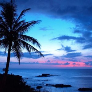 download Tropical Sunset Backgrounds 10744 Hd Wallpapers in Beach n …