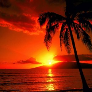 download Sunset Beach HD Wallpapers | Beach sunset Desktop Images | Cool …