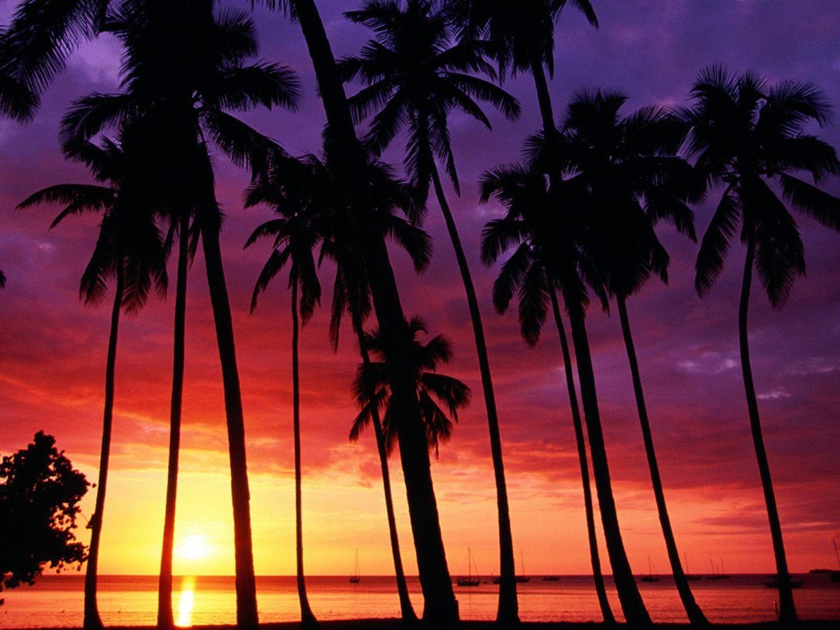 sunset beach wallpaper desktop background Desktop Backgrounds Free