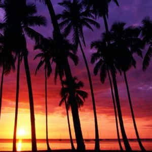 download sunset beach wallpaper desktop background Desktop Backgrounds Free