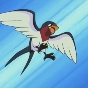 download Image – Ash Taillow.png | Pokémon Wiki | FANDOM powered by Wikia