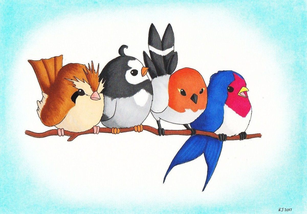 Pokemon, Birds, Original, Pidgey, Starly, Fletchling, Taillow, Bird …