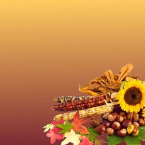 download Free Thanksgiving Wallpaper Backgrounds