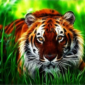 download 3D Tiger HD Wallpaper | Wallpaper Download