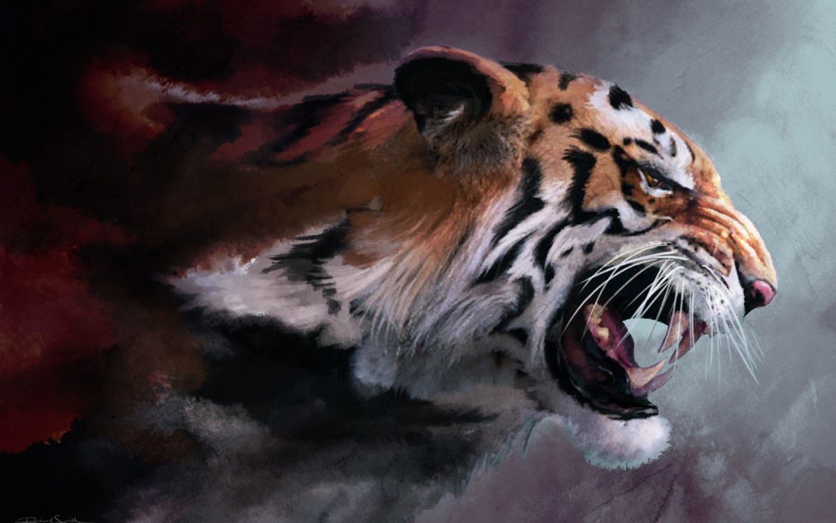 Jungle Tiger Wallpaper · Tiger Wallpapers | Best Desktop …
