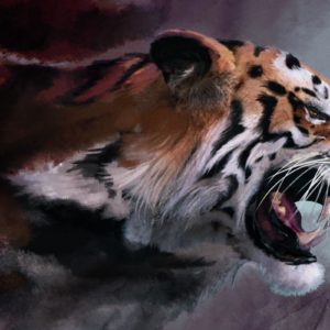 download Jungle Tiger Wallpaper · Tiger Wallpapers | Best Desktop …