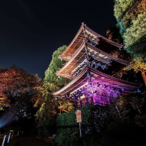 download Chinzan-so Garden, Tokyo wallpaper – World wallpapers – #
