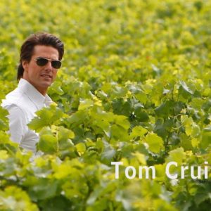 download Tom Cruise Wallpaper #20