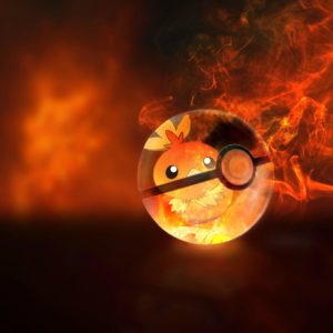 download Torchic wallpaper : pokemon