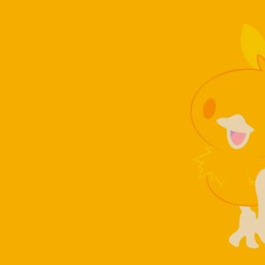 download Torchic Full HD Wallpaper and Background Image | 1920×1080 | ID:561869