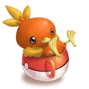 download Torchic – Pokémon – Zerochan Anime Image Board