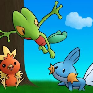 download pokemon mudkip treecko torchic 1280×1024 wallpaper High Quality …