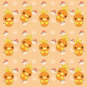 download Torchic by LadyCibia on DeviantArt