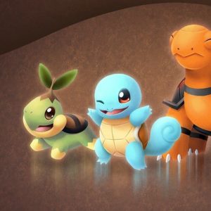 download Torkoal Squirtle Turtwig – Pokemon – WallDevil