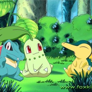 download Totodile Wallpapers Group (77)