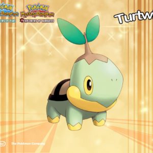 download Turtwig wallpaper Group (70+)