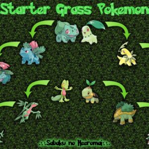 download pokemon chikorita turtwig grass bulbasaur