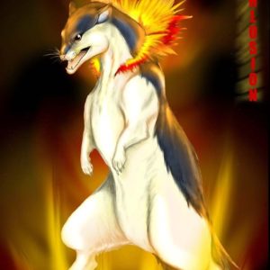download Typhlosion images typhlosion HD wallpaper and background photos …