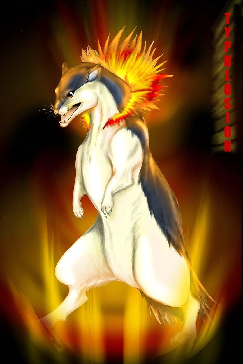 Typhlosion images typhlosion HD wallpaper and background photos …