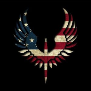 download Astonishing Eagle Flag USA Wallpaper HD 1680p Wallpaper 2013 …