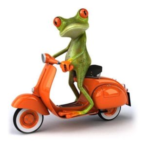 download 3D Frog & Vespa HD Wallpaper | Wallsaved.com