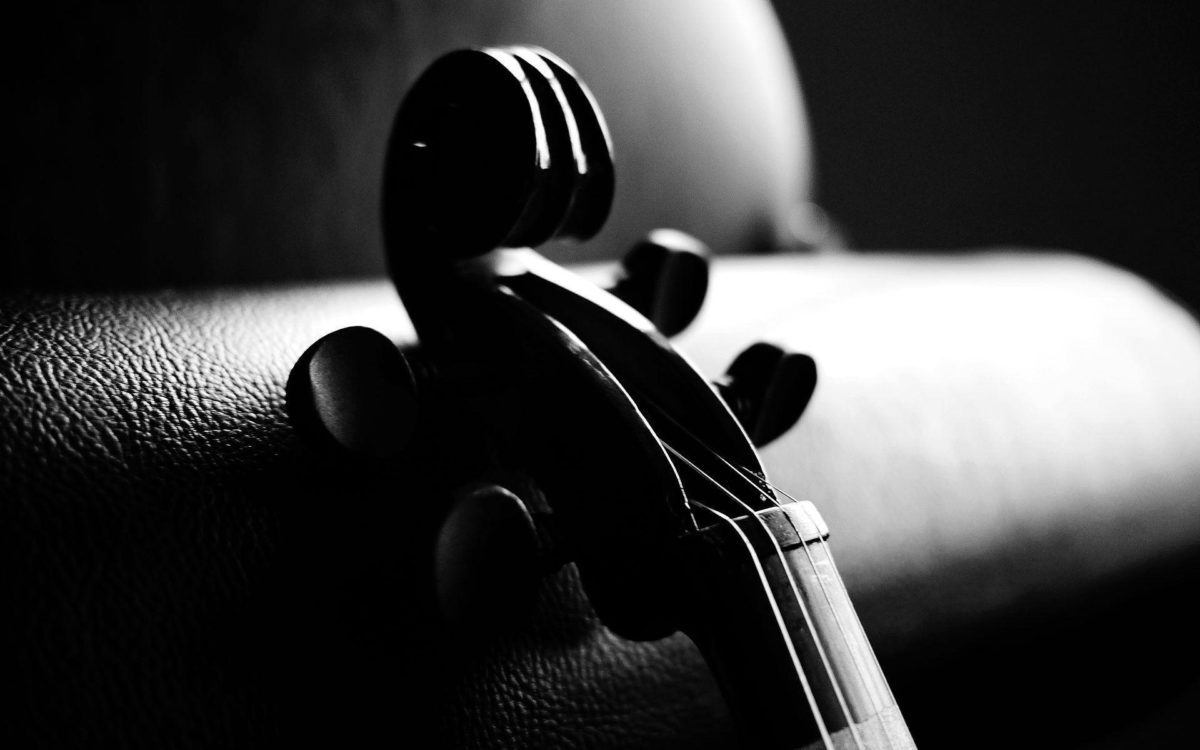 Violin Is An Instrument Wallpaper HD 8715 #3135 Wallpaper | High …
