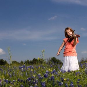 download 66 Violin Wallpapers | Violin Backgrounds Page 3