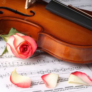 download Rose Flower And Violin Wallpaper Free Download #6442 Wallpaper …