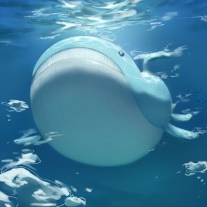 download Wailord (collab) by PinkGermy on DeviantArt
