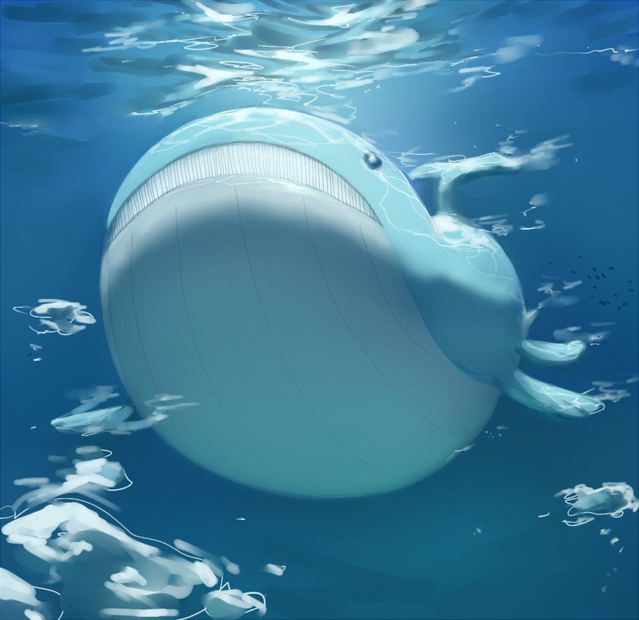 Wailord (collab) by PinkGermy on DeviantArt