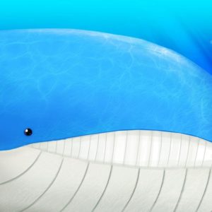 download Wailord by zizzy on DeviantArt