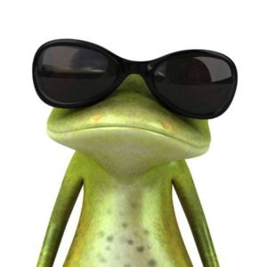 download Funny Frog Wallpaper #4427 Wallpaper computer | best website …