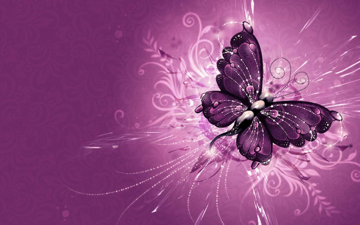 Purple Butterfly Wallpapers – Full HD wallpaper search