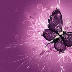 download Purple Butterfly Wallpapers – Full HD wallpaper search