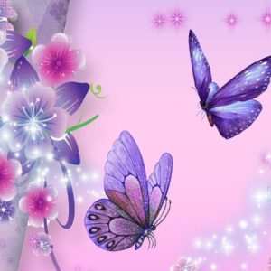 download Best butterfly wallpapers free – Wallpapers Daddy