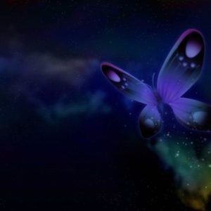 download FunMozar – Most Beautiful Butterfly Wallpapers